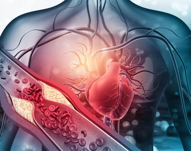 Esté alerta ante la muerte cardíaca repentina: Revelando el asesino vascular silencioso pasado por alto y cómo la vitamina K2 protege el corazón