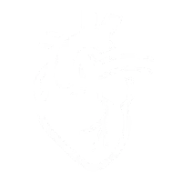 Función cardiovascular