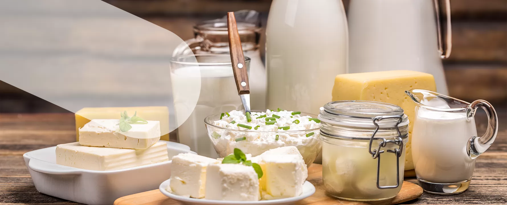 Leche y productos lácteos