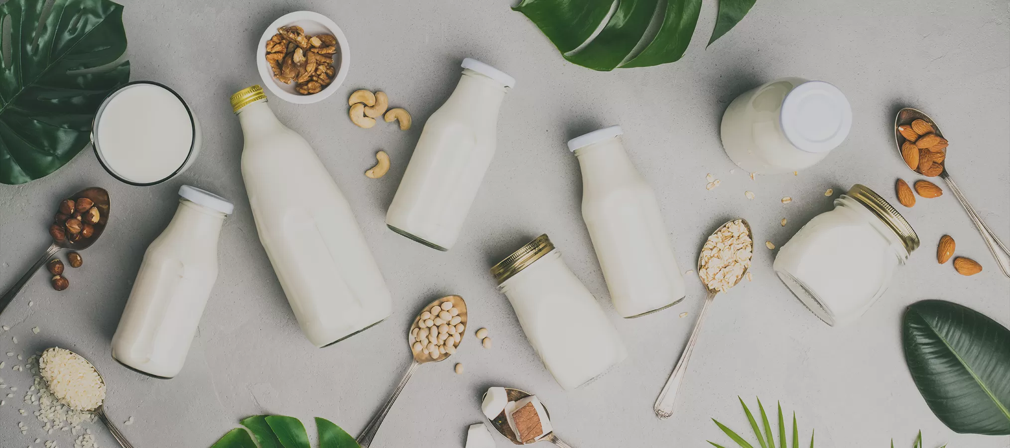 Ingredientes nutricionales Richen para leche y lácteos