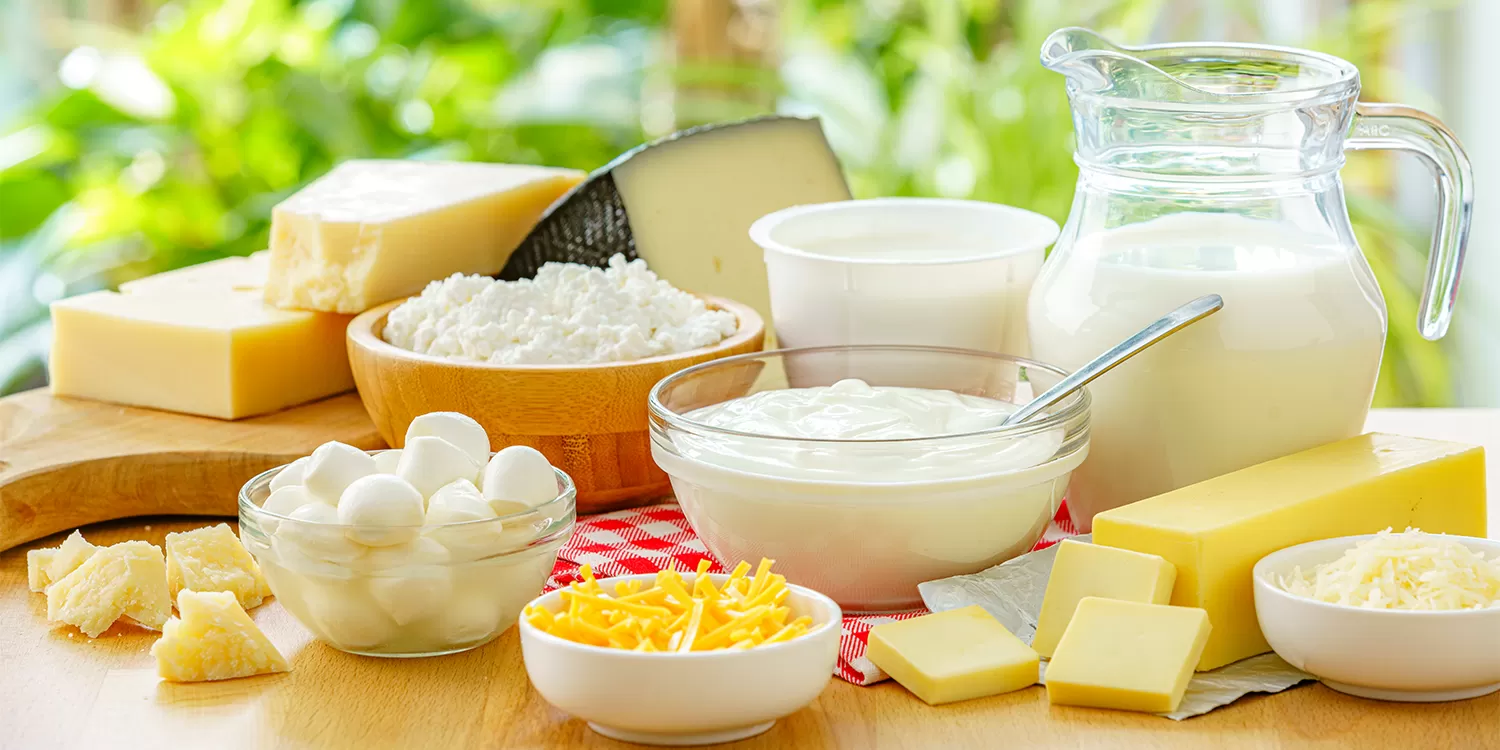 Leche y productos lácteos